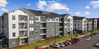 Arlow at Blue Ridge Gallery 48