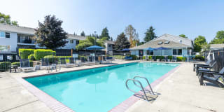 Avana Evergreen Gallery 46