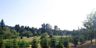 2 Bedroom 1 Bath 957 sq ft Gallery 73