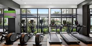 Manor Biscayne Gallery 4
