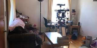 Tejon - GN Gallery 3