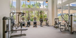 Alluvion Las Olas Alluvion Las Olas Gallery 23