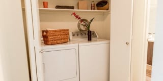 Signature Pointe Gallery 16