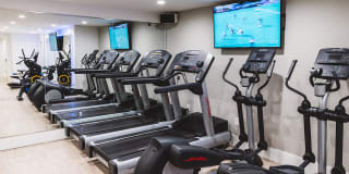 Alister Falls Church Gallery 26