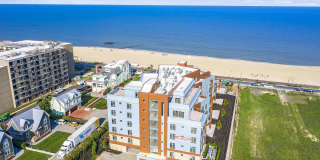 345 Ocean Boulevard Gallery 1