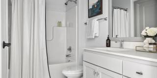 Savor Apartments Gallery 8