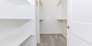 Springhill Ridge Gallery 7