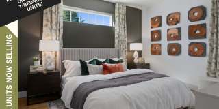 Arden Pines Gallery 1