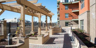 Harbour View Gallery 2