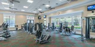 End unit townhome in The Cottages at Oakleaf Plantation Gallery 54