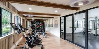 Cadia on the Loop Gallery 16