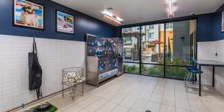 808 West Apartments Gallery 27