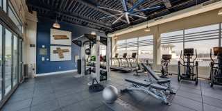 The Harlowe Apartment Homes Gallery 7