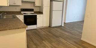 Terre View Gallery 4