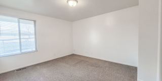 Orchard Gardens  (OG) Gallery 12