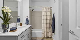 The Galaxy at Polaris Gallery 118