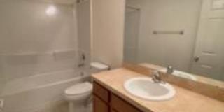 6824 Holly Heath Dr Gallery 11