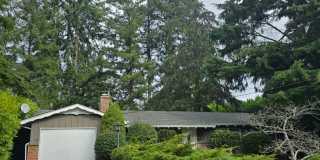 Beautiful 3 bedroom on large lot. Gallery 1