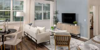 Cielo View Gallery 21