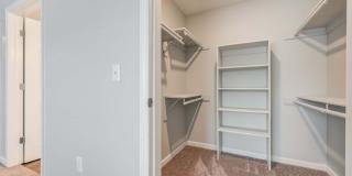 Indy7925 Gallery 22
