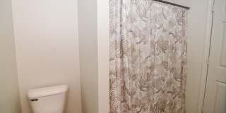 Washington Ave Grinnell Gallery 21