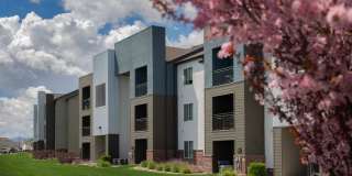 Wilshire Place Apartments Gallery 5