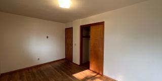 Little Beauty Gallery 15