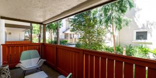 La Terraza Gallery 21