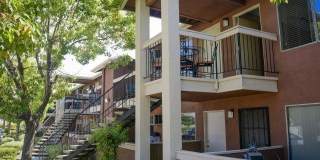 Washington Village Gallery 1