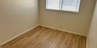 Maple 2 Gallery 33