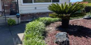 16233 San Remo Drive Gallery 48