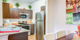 Nolina Flats Nolina Flats Gallery 6