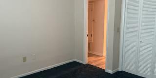 Lakeview Condo Available | Directly Across from Lake Hollingsworth Gallery 19