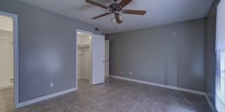 Ashford Buena Vista Gallery 14