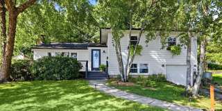 12 Wolf Road Gallery 1