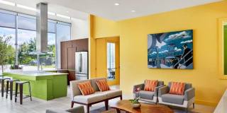 AMLI at Mueller Gallery 18