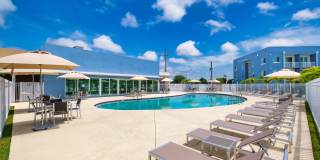 Pine Groves Gallery 31