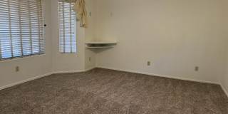 2946 W Ring Tail Drive Gallery 16