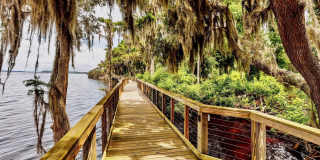 157 COOSAW Court Gallery 46