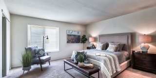 Wilkeswood Gallery 8