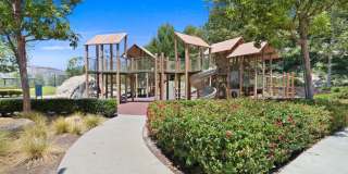 111 Wild Rose Gallery 22