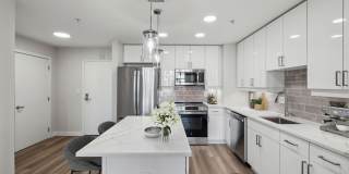 Senate Square Gallery 3