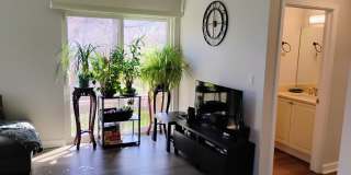 3061 Pheasant Creek Drive Gallery 13