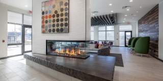 Beecher Terrace III Gallery 3