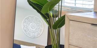 58260 Aragon Way Gallery 29