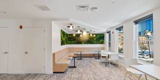 Windsor at Liberty House Gallery 19