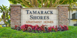 Elan Tamarack Shores Gallery 1