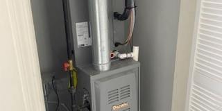 239 BERNARD Street Gallery 11