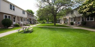 Rose Vista Gallery 26