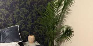 5395 Dolores Avenue Gallery 1